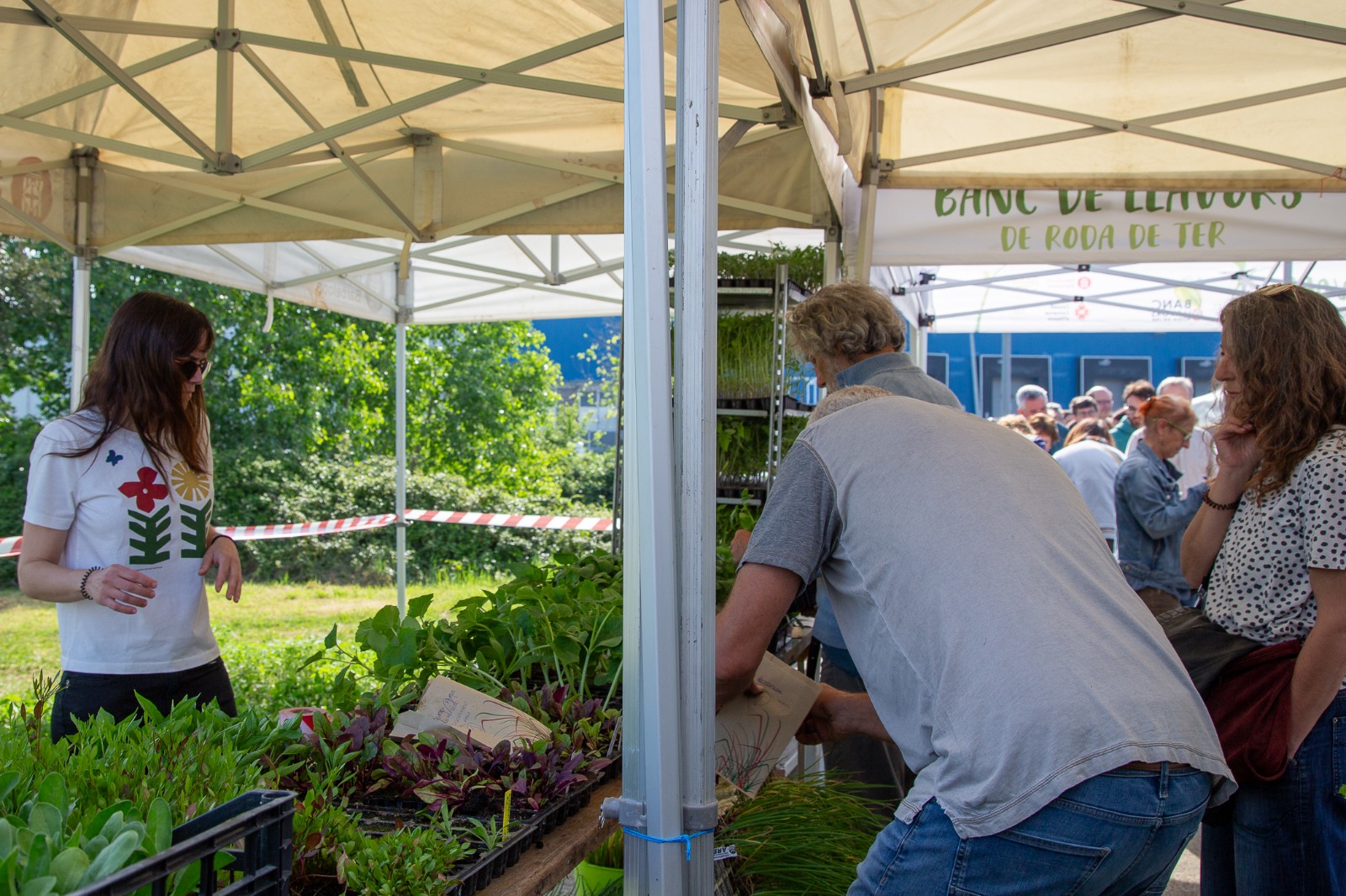 Roda de Ter tanca amb &egrave;xit la XIV Fira de la Llavor
