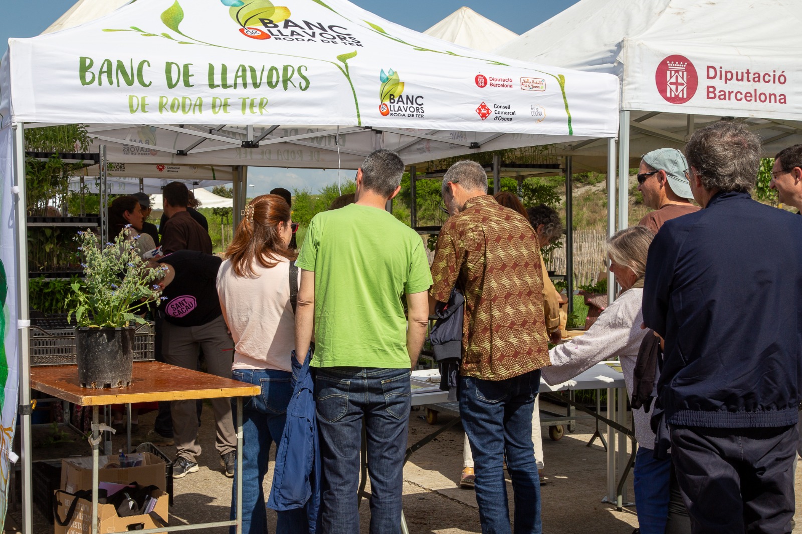 Roda de Ter tanca amb &egrave;xit la XIV Fira de la Llavor