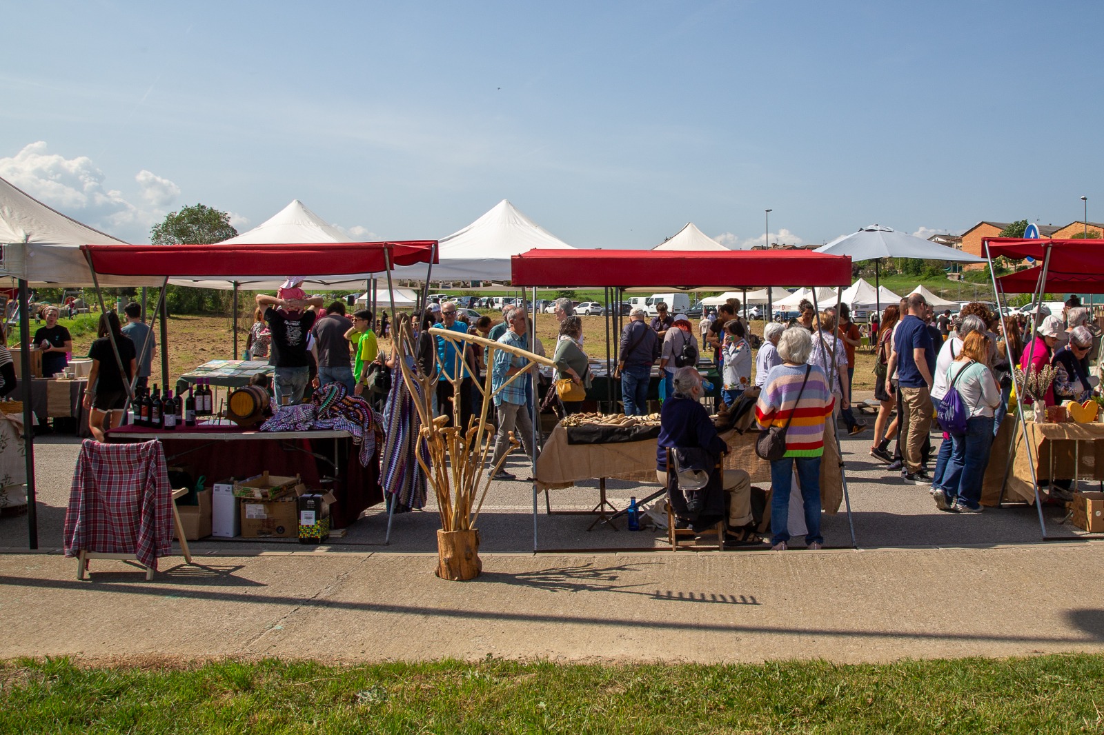 Roda de Ter tanca amb &egrave;xit la XIV Fira de la Llavor
