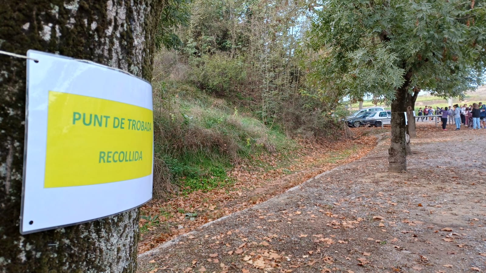 Nens i nenes de 1r a 6è de primària de Roda de Ter van participar de les activitats dels 10 anys de la plantada d'arbres de la Muntanyeta