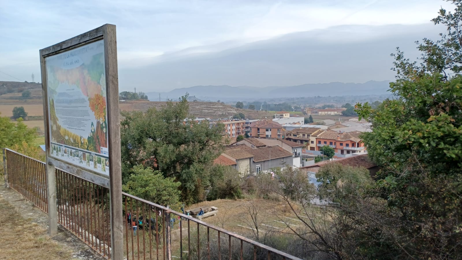 Nens i nenes de 1r a 6è de primària de Roda de Ter van participar de les activitats dels 10 anys de la plantada d'arbres de la Muntanyeta