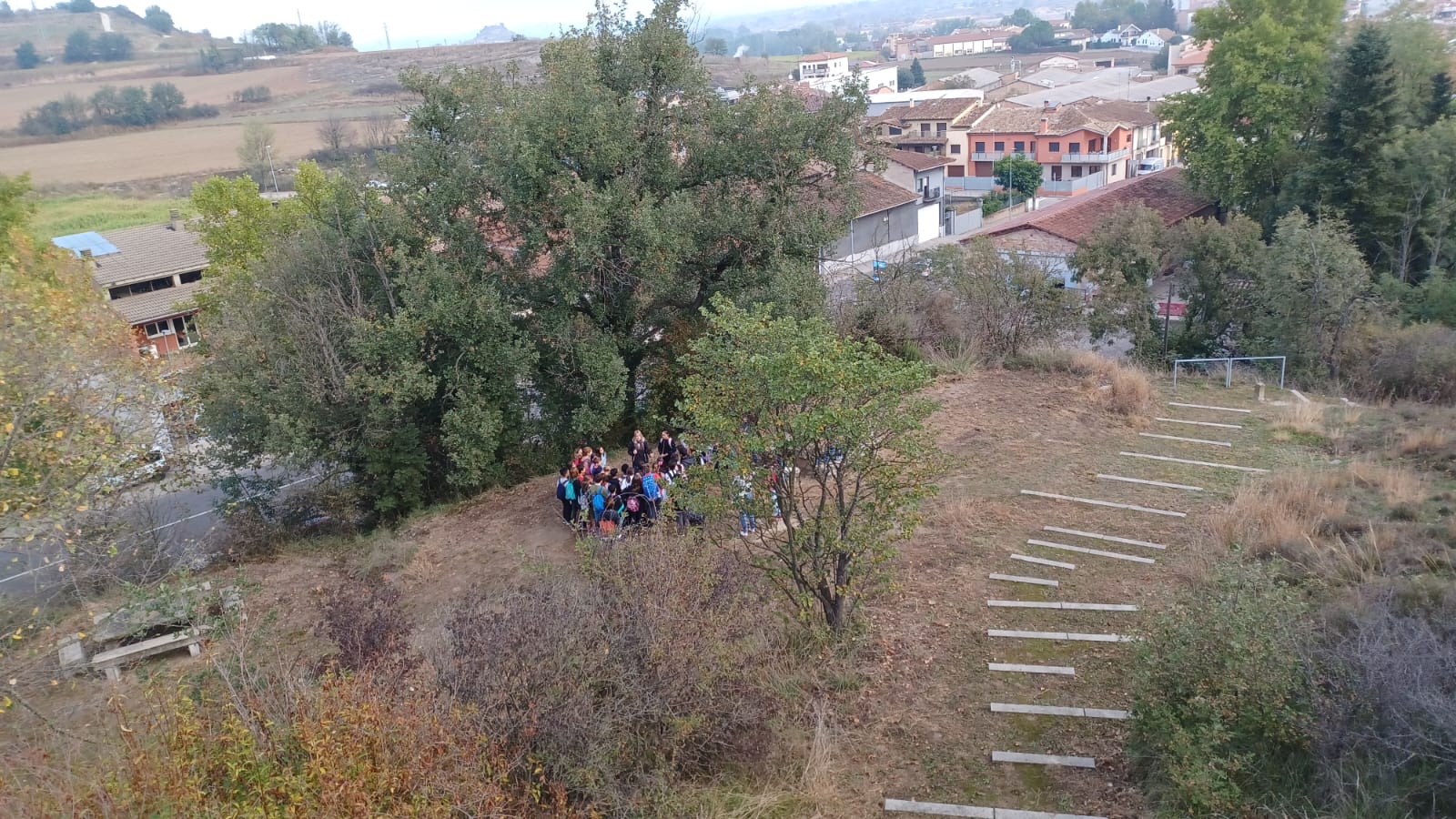 Nens i nenes de 1r a 6è de primària de Roda de Ter van participar de les activitats dels 10 anys de la plantada d'arbres de la Muntanyeta