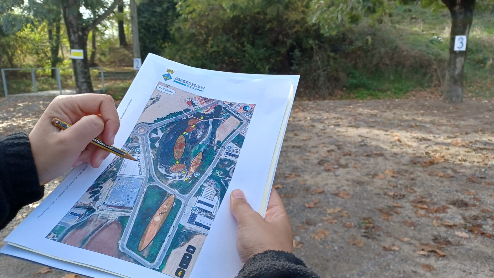 Nens i nenes de 1r a 6è de primària de Roda de Ter van participar de les activitats dels 10 anys de la plantada d'arbres de la Muntanyeta