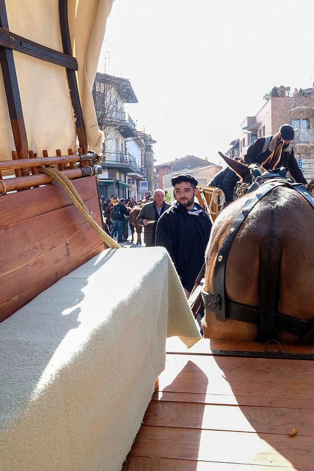 La Festa de Sant Antoni Abat (2025)