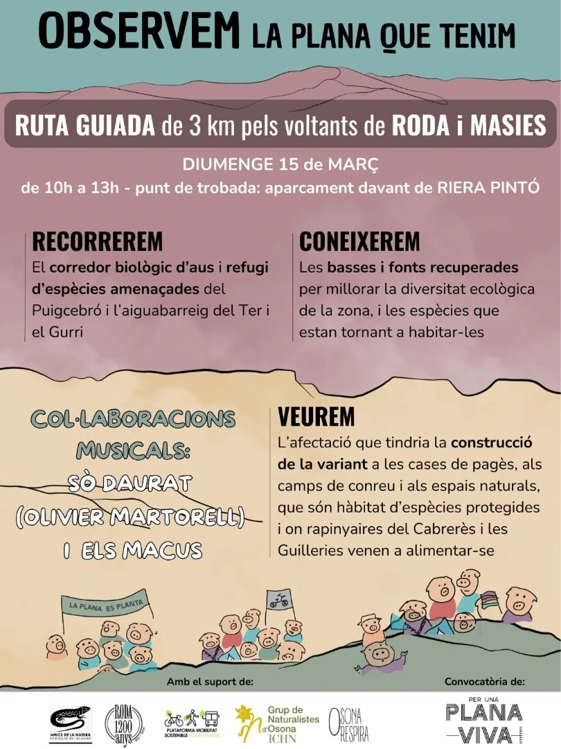Observem la plana que tenim | Ruta  pels voltants de Roda i Les Masies