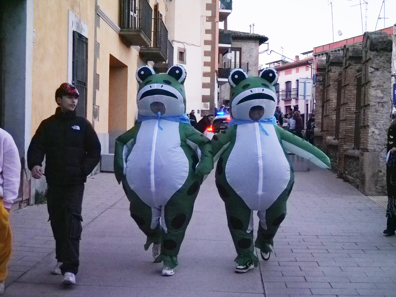 Carnaval de Roda de Ter 2026