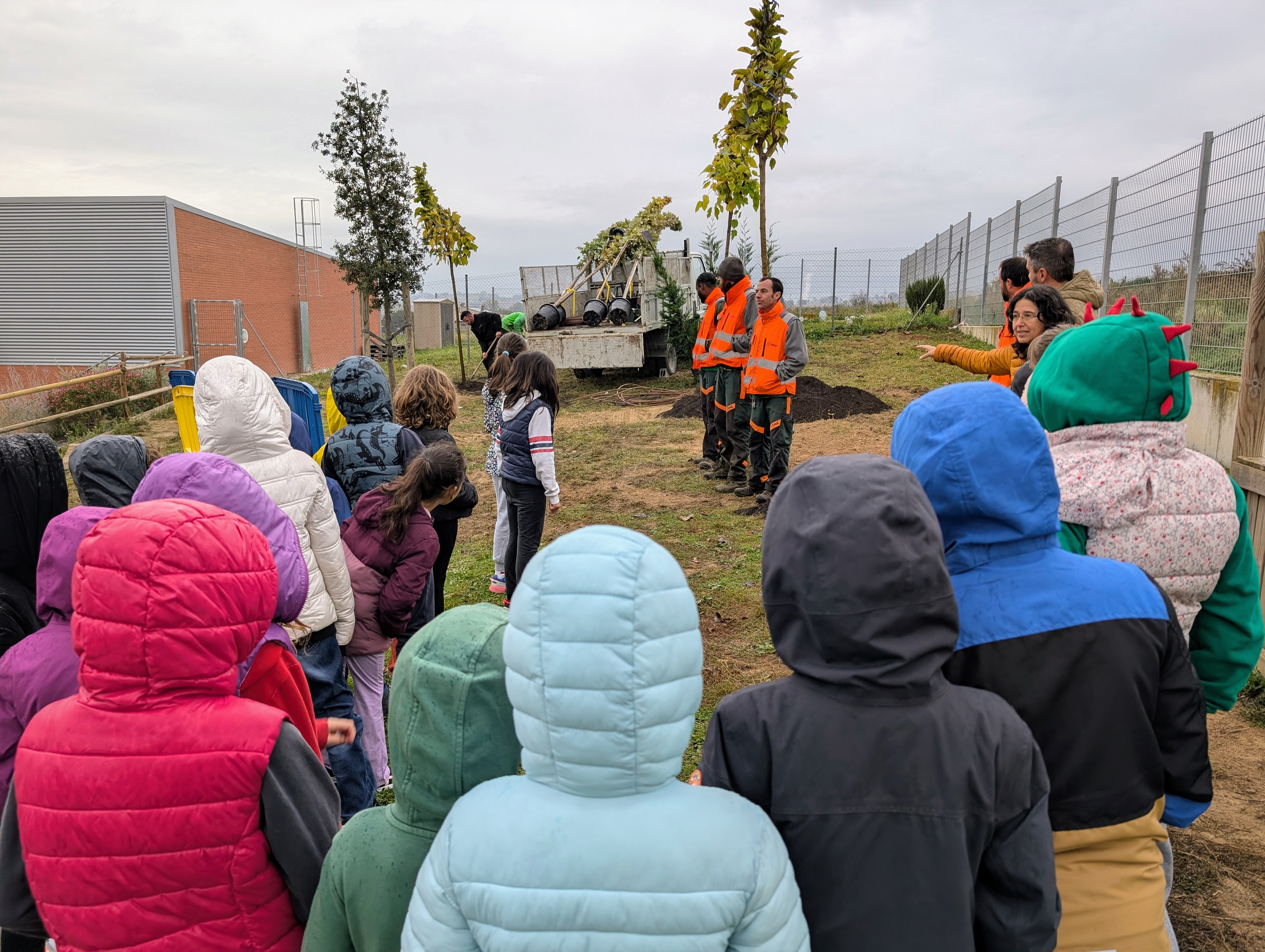 Alumnes de l'escola Emili Teixidor planten nous arbres al pati del centre per crear una nova zona d'ombra Alumnes de l'escola Emili Teixidor planten nous arbres al pati del centre per crear una nova zona d'ombra