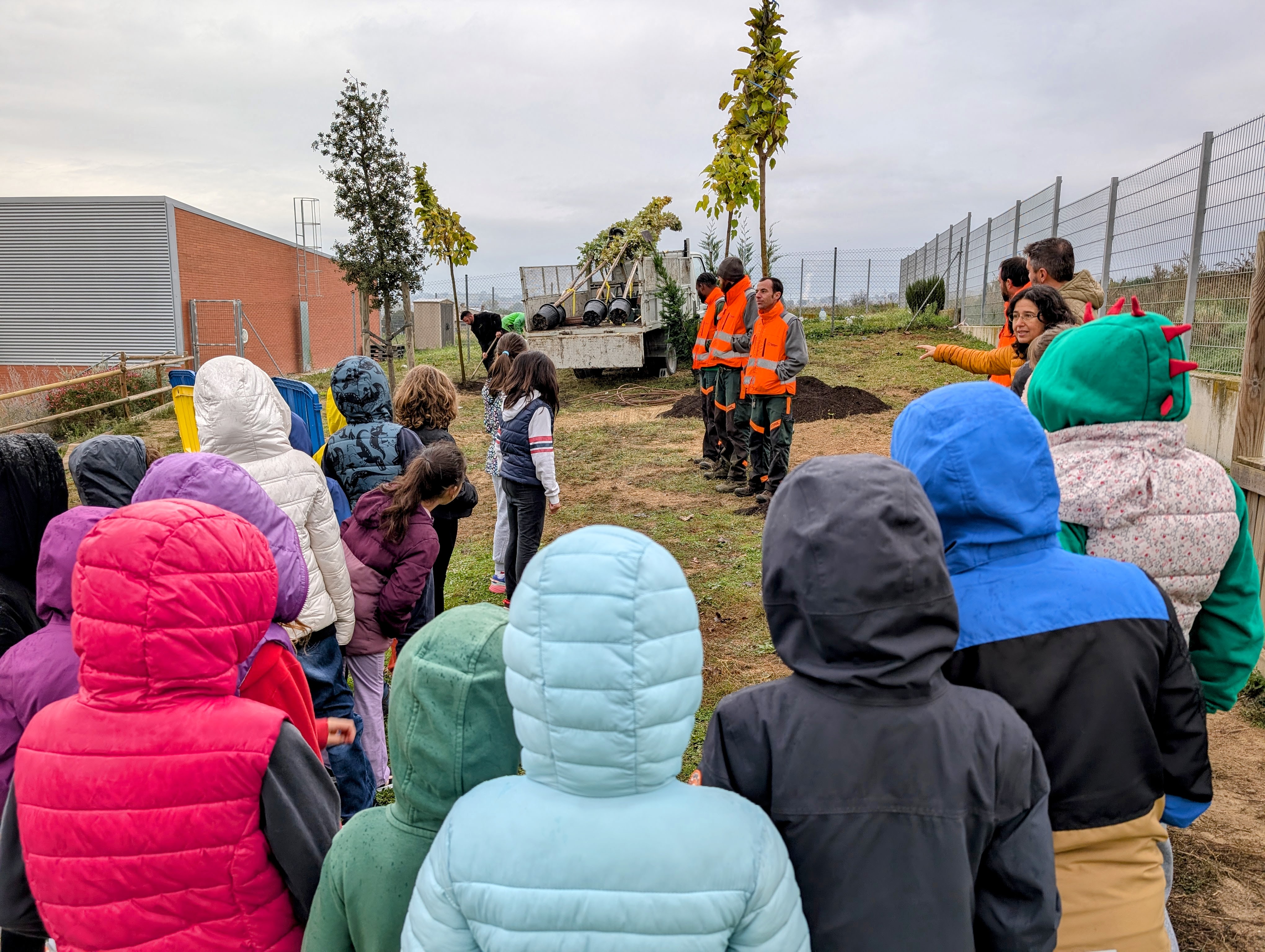 Alumnes de l'escola Emili Teixidor planten nous arbres al pati del centre per crear una nova zona d'ombra Alumnes de l'escola Emili Teixidor planten nous arbres al pati del centre per crear una nova zona d'ombra