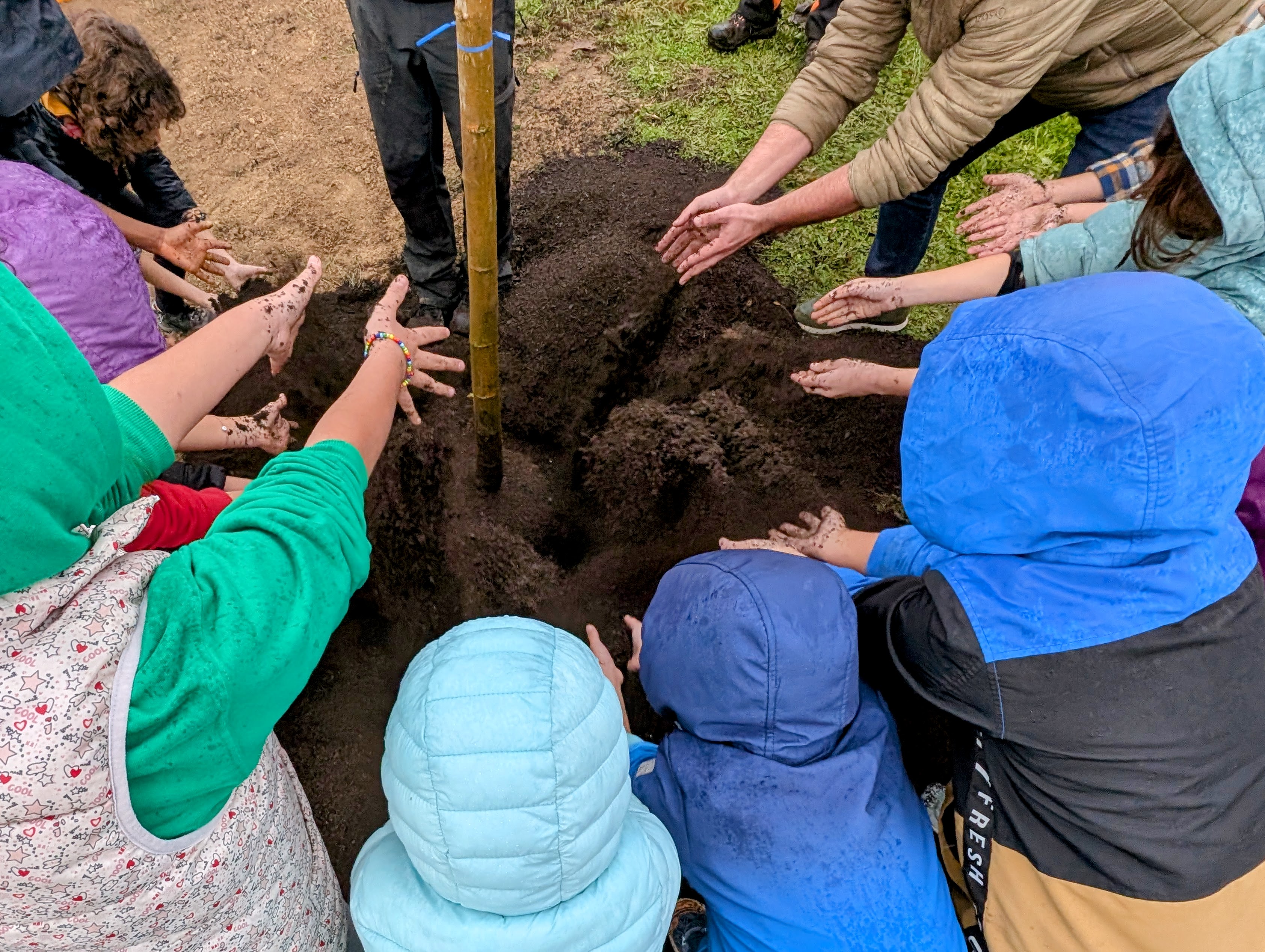 Alumnes de l'escola Emili Teixidor planten nous arbres al pati del centre per crear una nova zona d'ombra Alumnes de l'escola Emili Teixidor planten nous arbres al pati del centre per crear una nova zona d'ombra