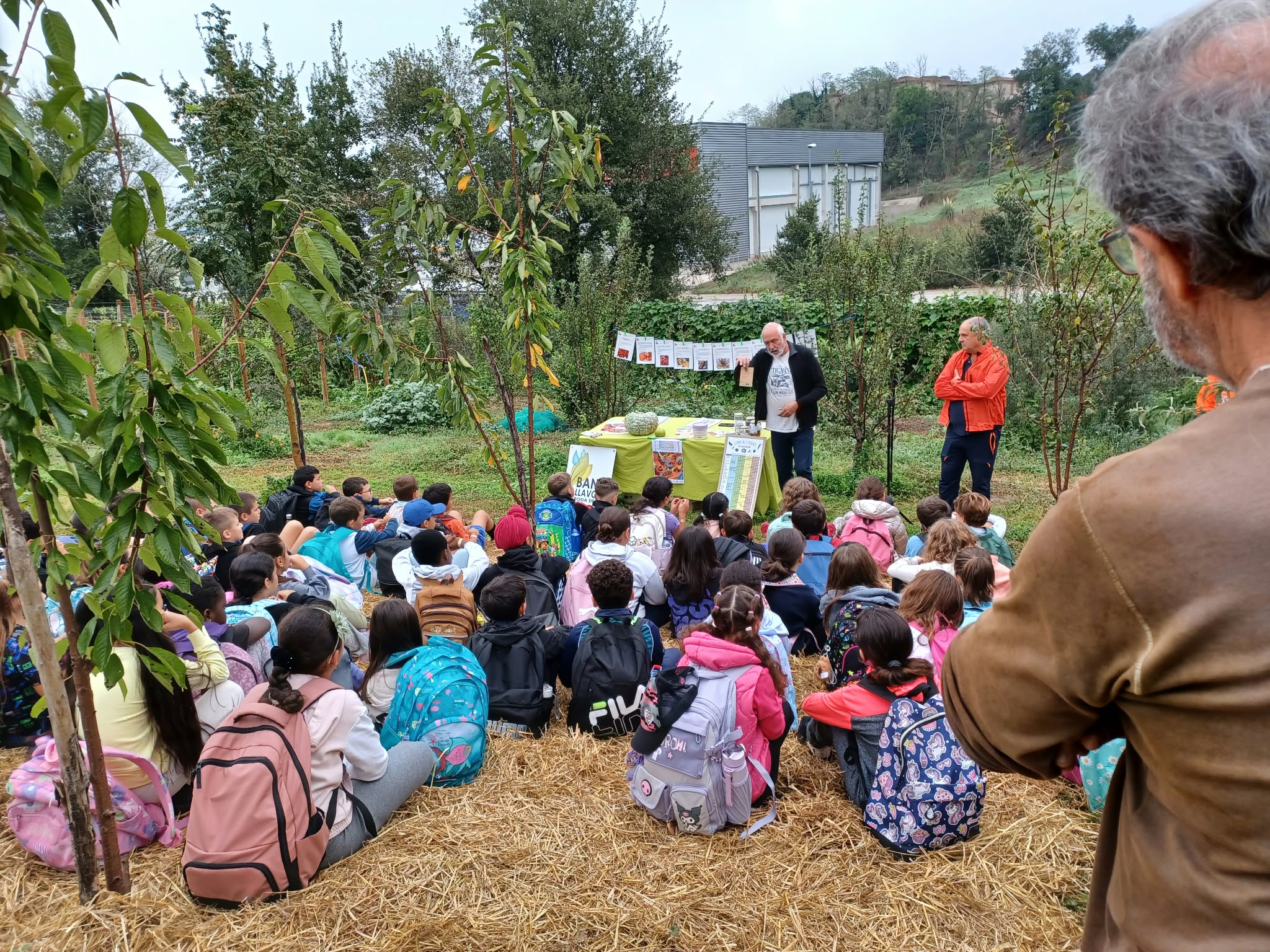 El Turó de la Muntanyeta acull una jornada educativa i ambiental amb 411 alumnes de Roda de Ter