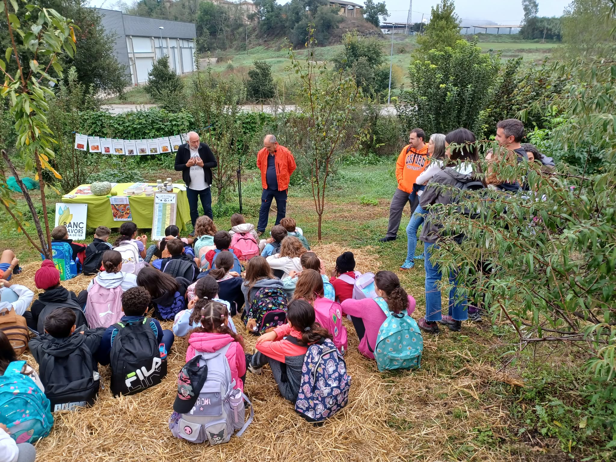l Tur&oacute; de la Muntanyeta acull una jornada educativa i ambiental amb 411 alumnes de Roda de Ter